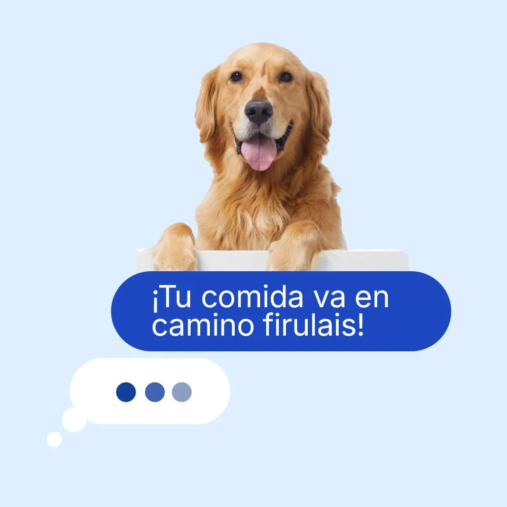Tu comida va en camino