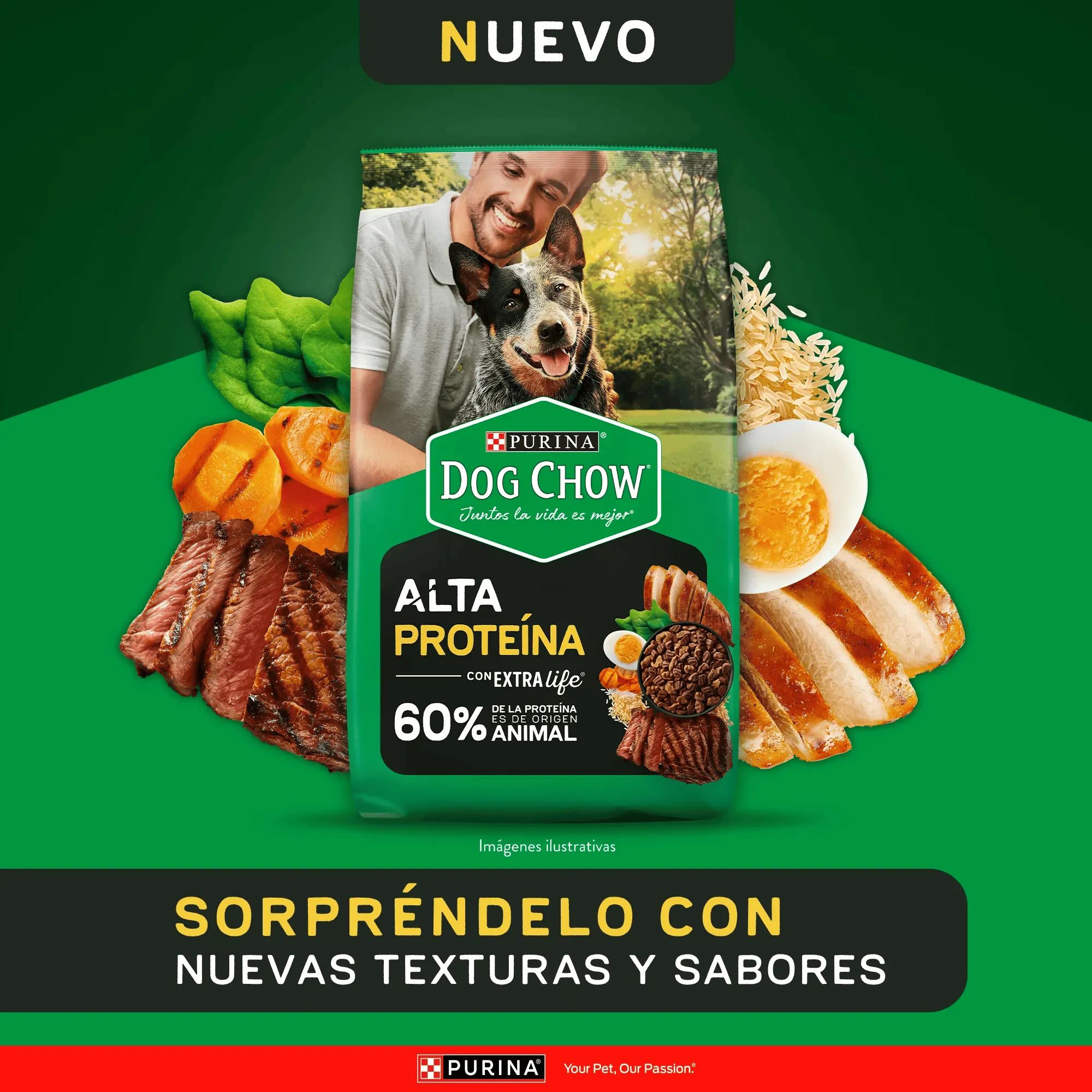 Purina Dog Chow 2 Kg Alimento Seco para Perros Adultos de Alta Proteína - Miniatura 3