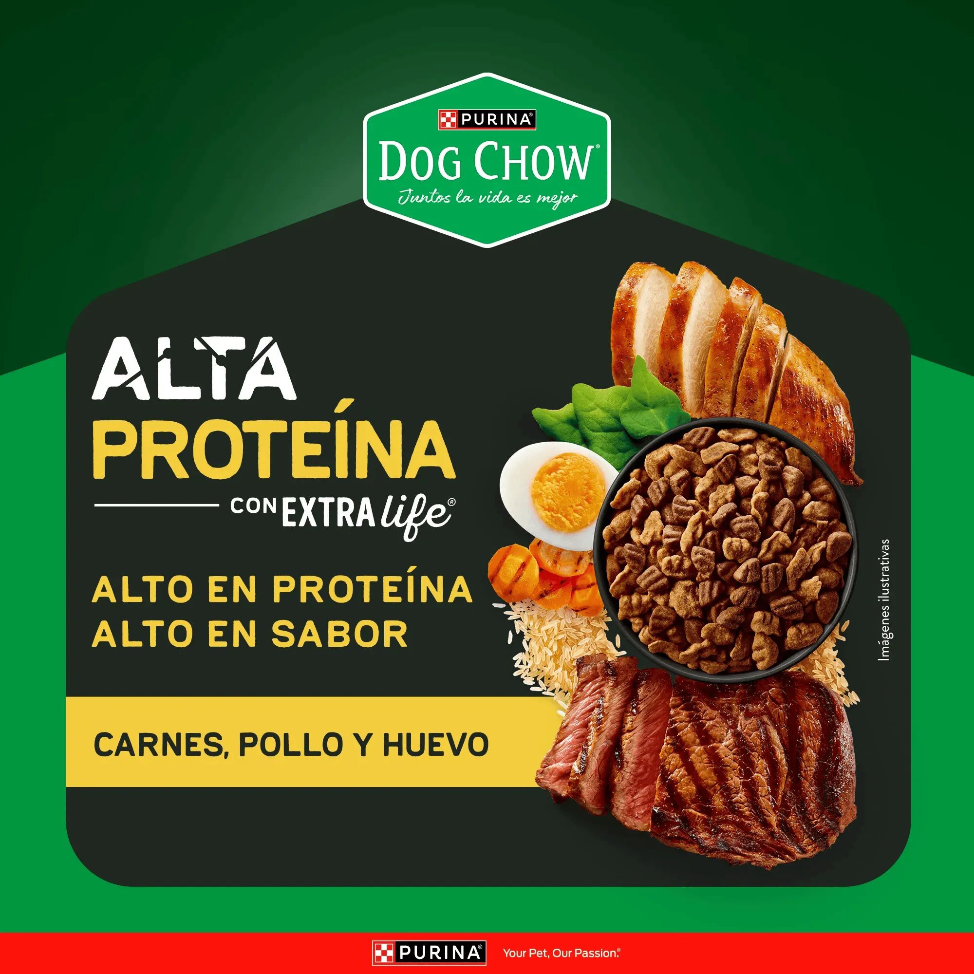 Purina Dog Chow 2 Kg Alimento Seco para Perros Adultos de Alta Proteína - Miniatura 5