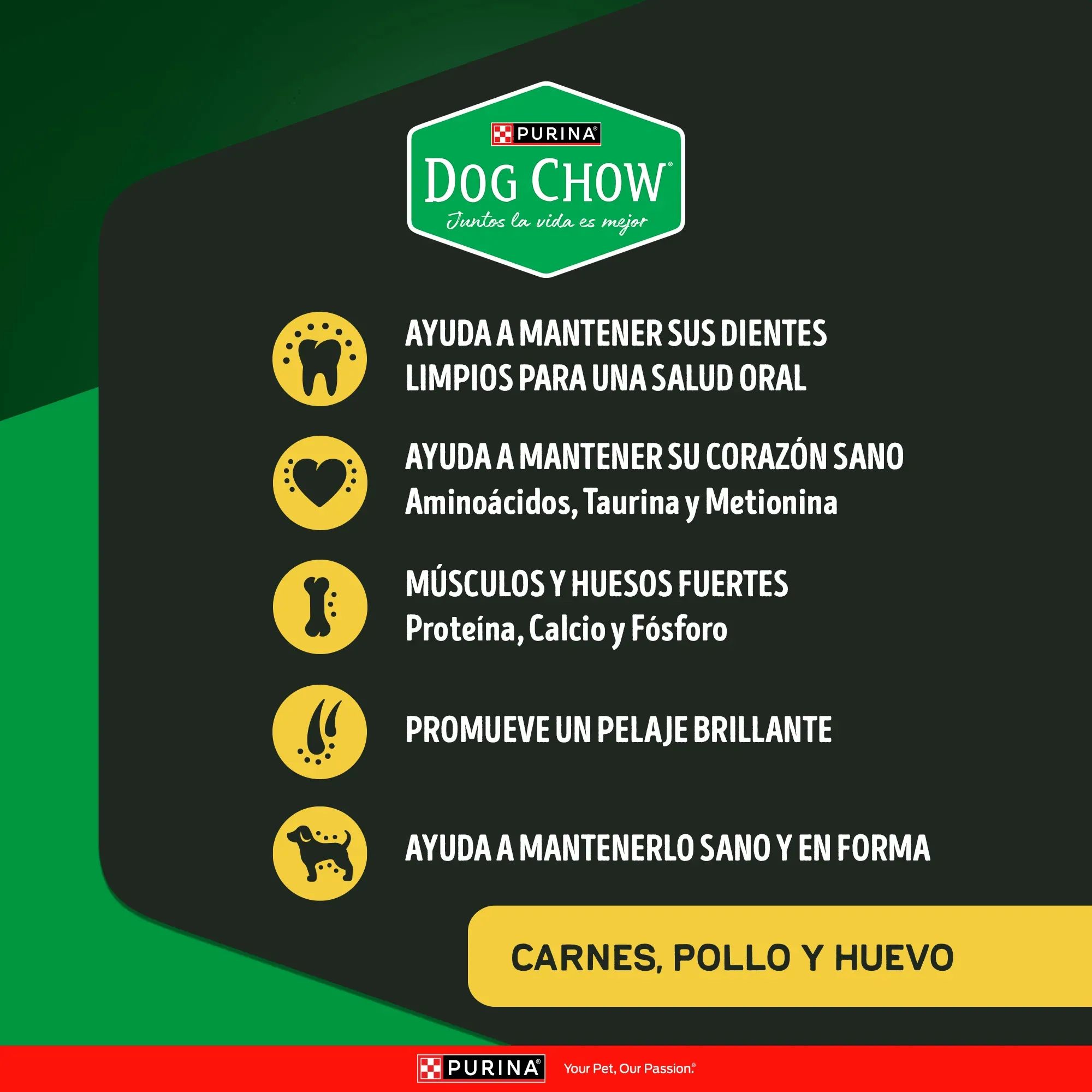 Purina Dog Chow 2 Kg Alimento Seco para Perros Adultos de Alta Proteína - Miniatura 6