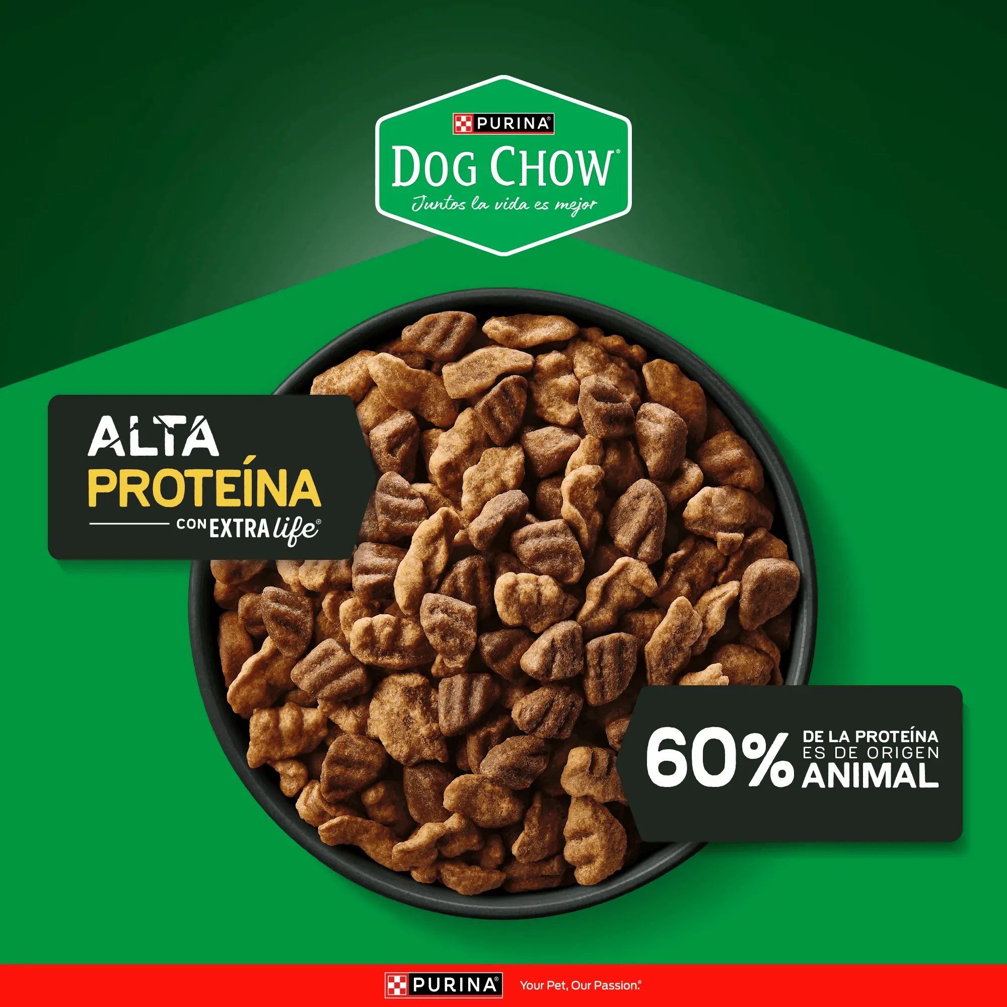 Purina Dog Chow 2 Kg Alimento Seco para Perros Adultos de Alta Proteína - Miniatura 7