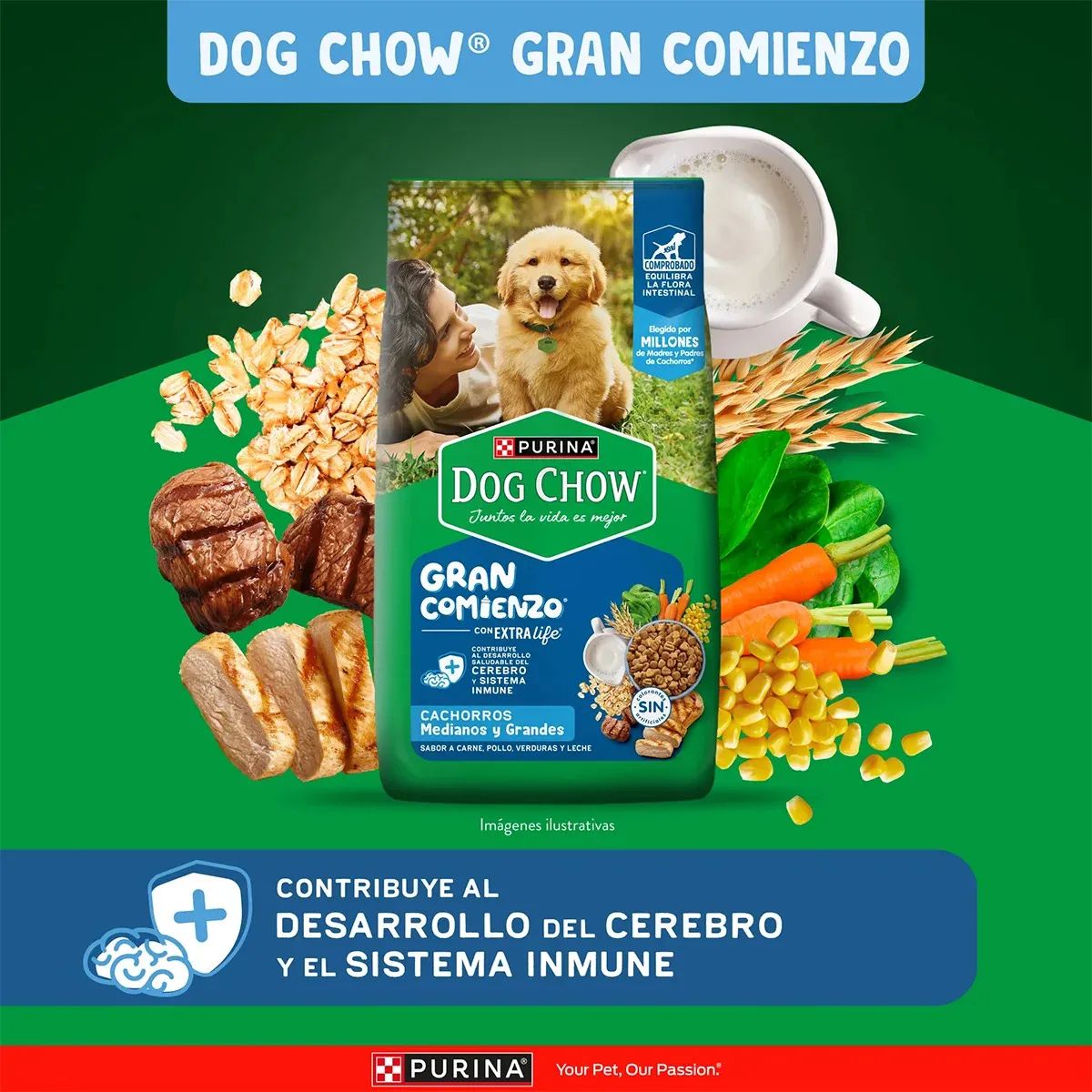Purina Dog Chow 2 Kg Alimento Seco para Cachorros Razas Medianas y Grandes  - Miniatura 3