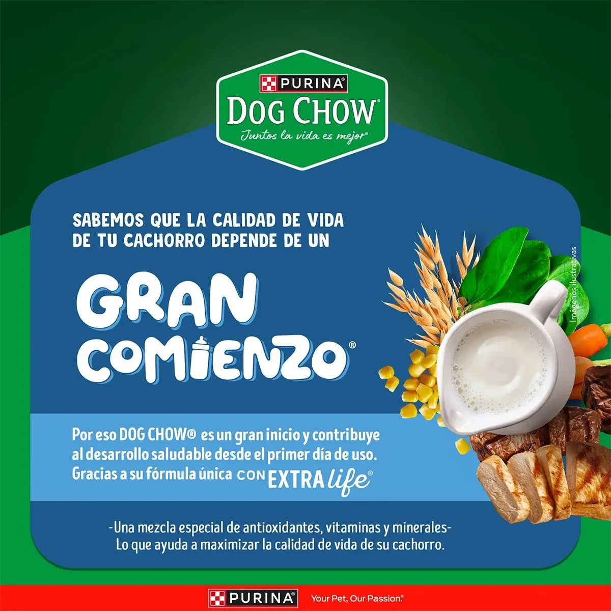 Purina Dog Chow 2 Kg Alimento Seco para Cachorros Razas Medianas y Grandes  - Miniatura 4