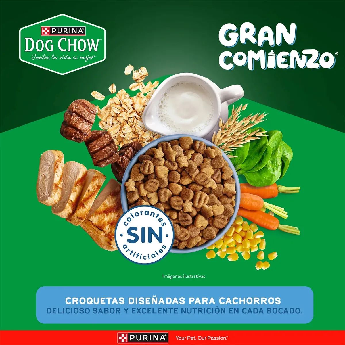 Purina Dog Chow 2 Kg Alimento Seco para Cachorros Razas Medianas y Grandes  - Miniatura 5