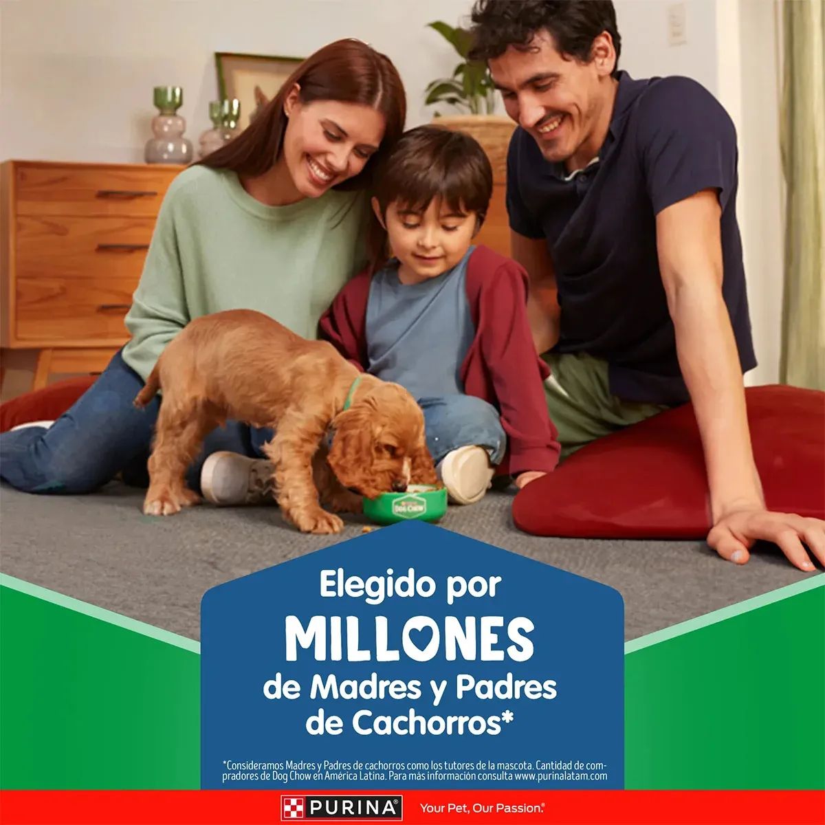 Purina Dog Chow 2 Kg Alimento Seco para Cachorros Razas Medianas y Grandes  - Miniatura 6