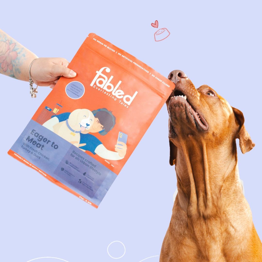Fabled Eager to Meat 2 Kg - Alimento Libre de Granos con Pollo y Cordero para Perros Adultos - Miniatura 4