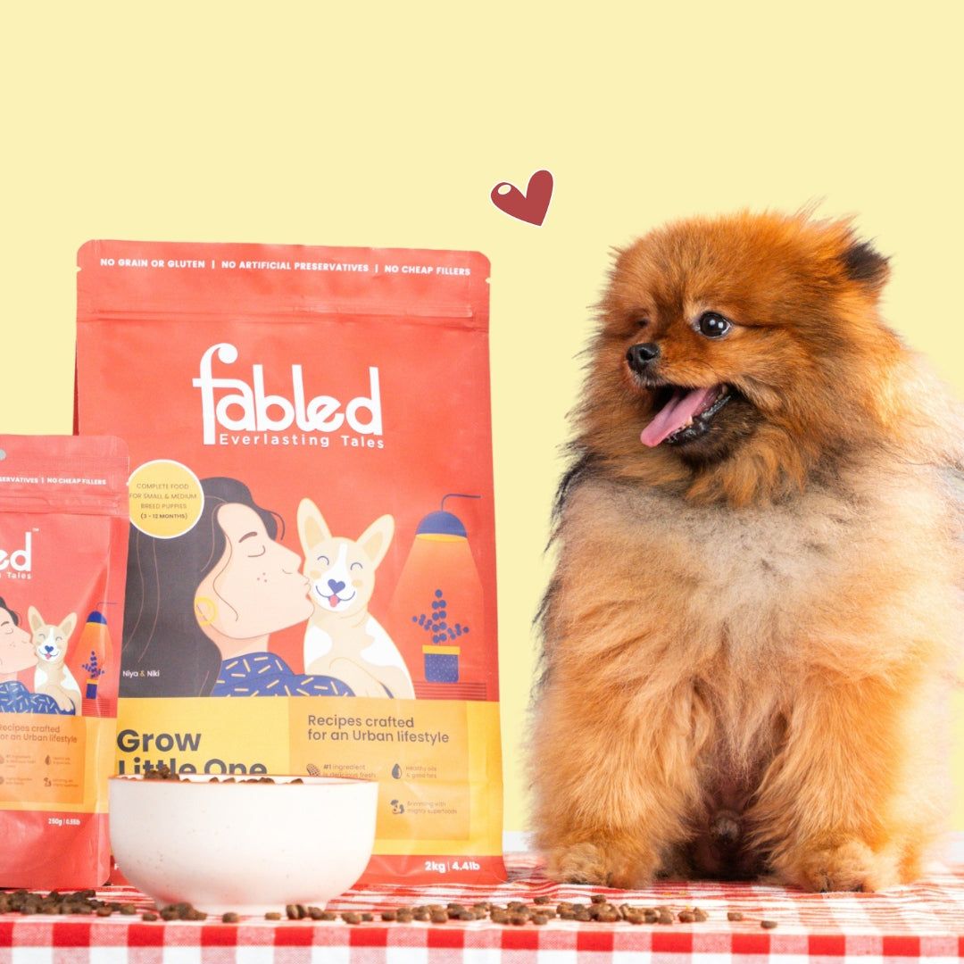 Fabled Grow Little One 2 Kg - Alimento para Cachorros con Pollo, Huevo y Soporte Cognitivo - Miniatura 4