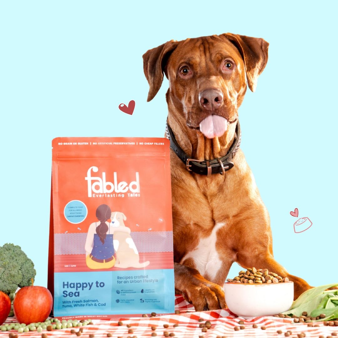 Fabled Happy to Sea 2 Kg - Alimento Sin Cereales con Pescado y Algas para Piel y Pelaje - Miniatura 4