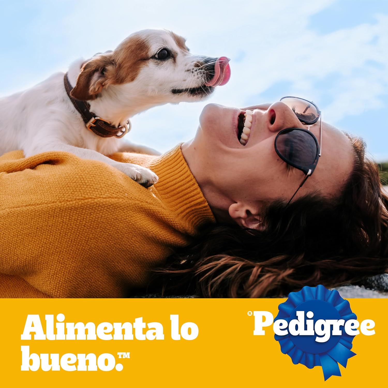 Pedigree Razas Pequeñas 1,5 Kg sabor a Carne y Vegetales - Croquetas Adaptadas con Nutri Defense - Miniatura 5