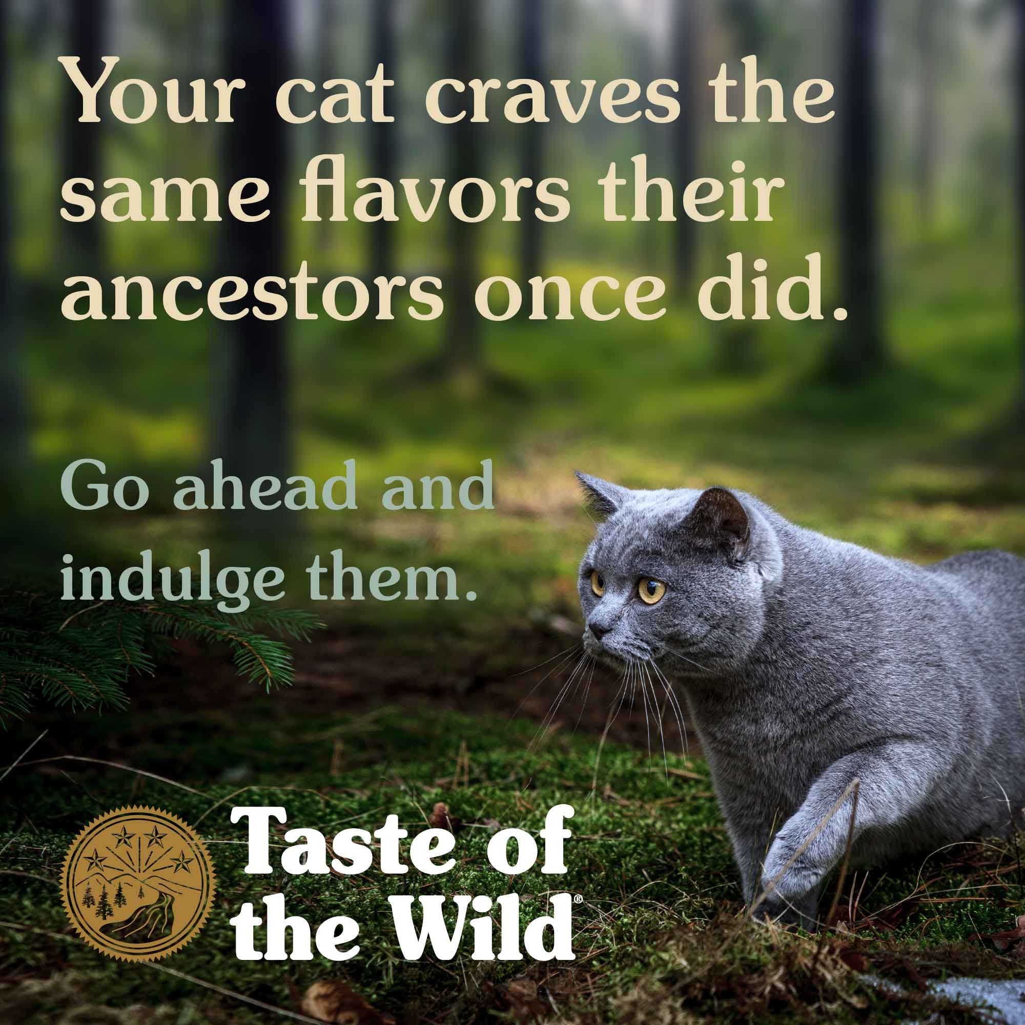 Taste of the Wild Canyon River 2 kg Alimento para Gatos - Trucha y Salmón Ahumado - Miniatura 6