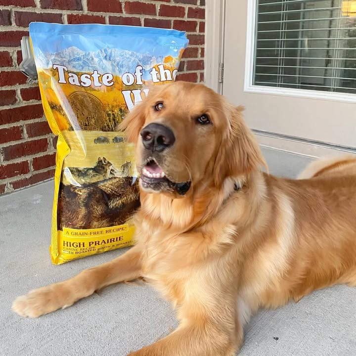 Taste of the Wild High Prairie Canine 12,2 Kg - Alimento Completo para Perros con Bisonte y Venado - Miniatura 6