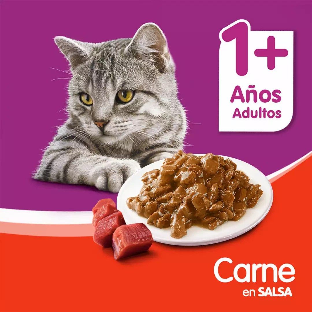 Whiskas Alimento Húmedo para Gatos Adultos Sabor Carne - Sobrecito 85 g - Miniatura 4