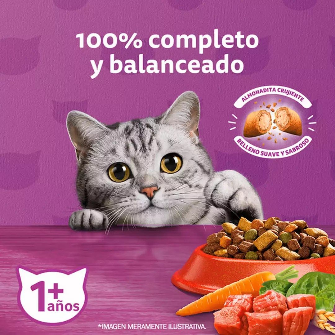 Whiskas 1 Kg Alimento Seco para Gatos Adultos Sabor Carne  - Miniatura 4
