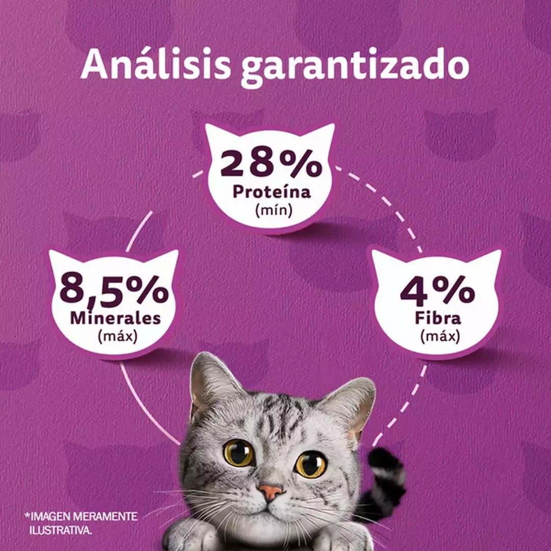 Whiskas 1 Kg Alimento Seco para Gatos Adultos Sabor Carne  - Miniatura 5