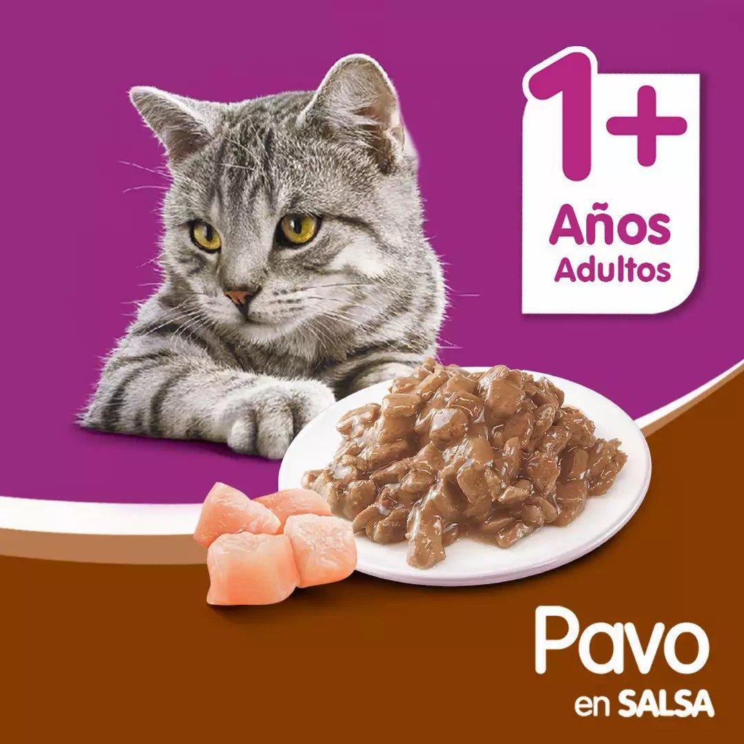 Whiskas Alimento Húmedo para Gatos Adultos Sabor Pavo - Sobrecito 85 g - Miniatura 5