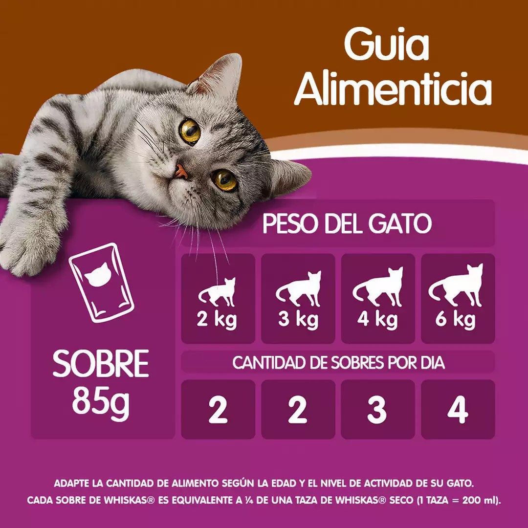 Whiskas Alimento Húmedo para Gatos Adultos Sabor Pavo - Sobrecito 85 g - Miniatura 6