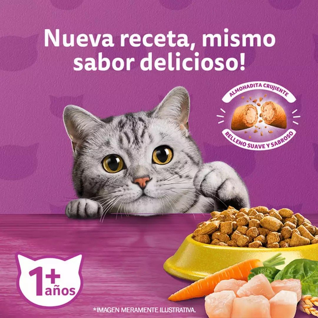 Whiskas 1 Kg Alimento Seco para Gatos Adultos Sabor Pollo - Miniatura 3