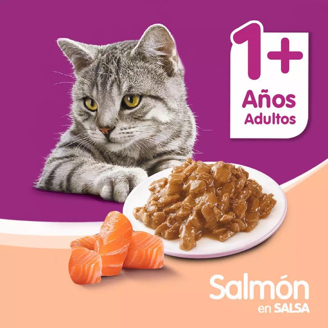 Whiskas Alimento Húmedo para Gatos Adultos Sabor Salmón - Sobrecito 85 g - Miniatura 5