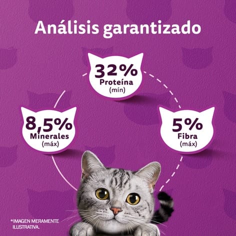 Whiskas 1 Kg Alimento Seco para Gatos Castrados Sabor Mix de Carnes  - Miniatura 5