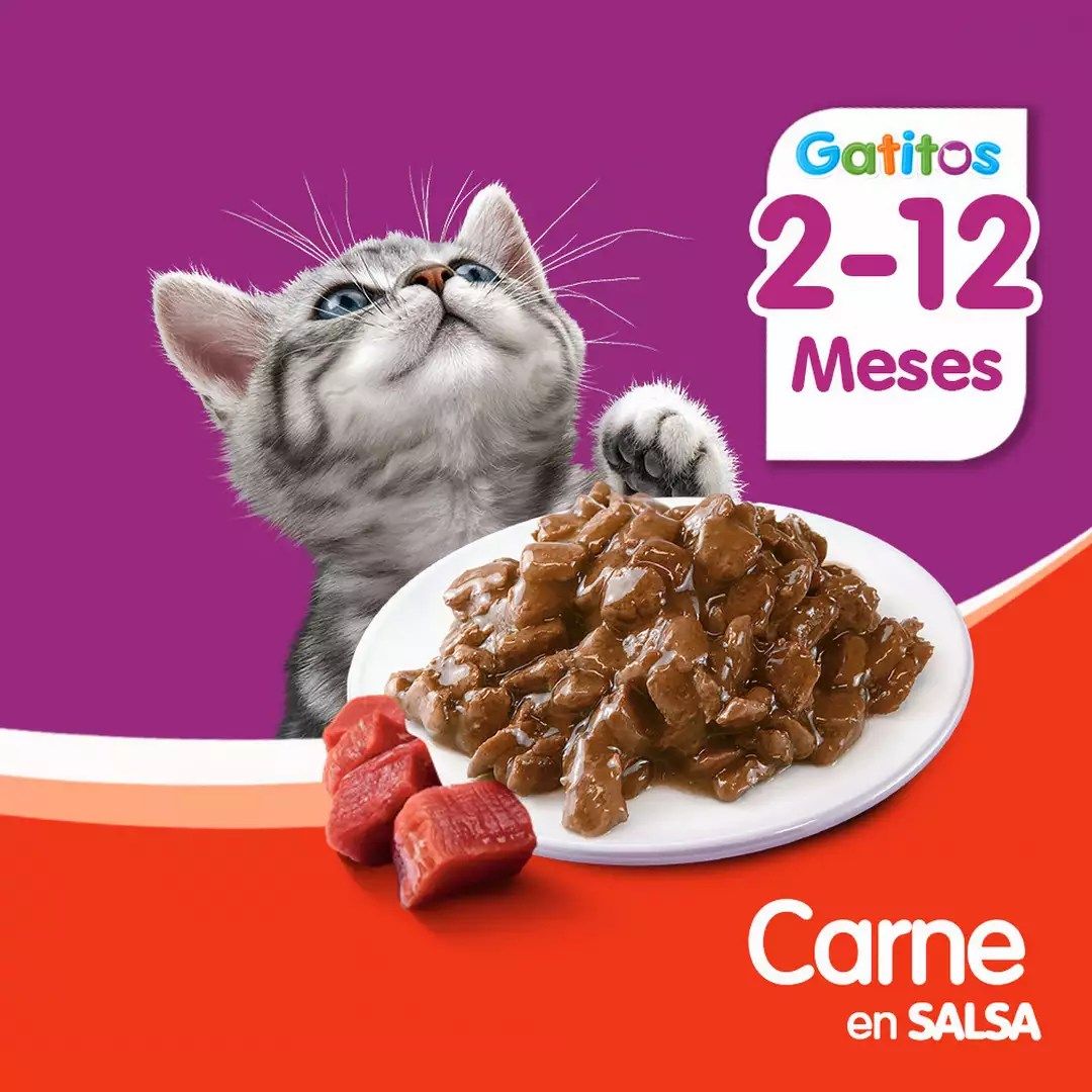 Whiskas Alimento Húmedo para Gatitos Sabor Carne - Sobrecito 85 g - Miniatura 5