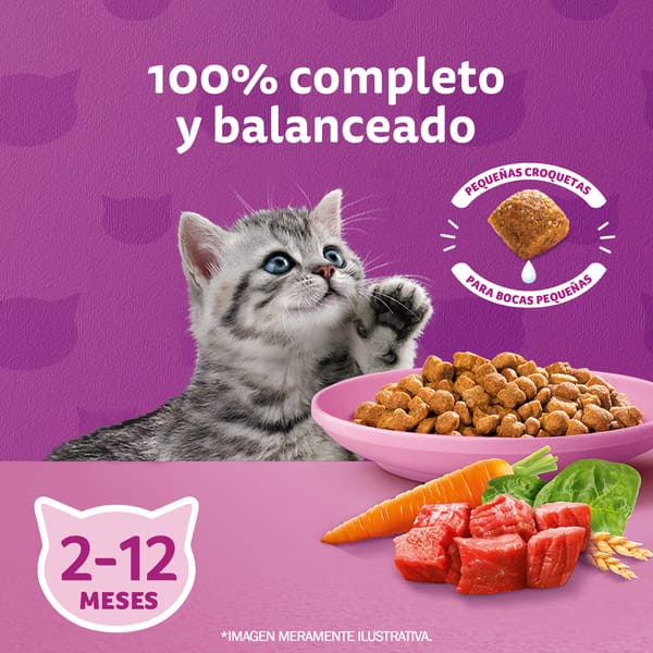 Whiskas 1 Kg Alimento Seco para Gatitos (Kitten) Sabor Carne y Leche  - Miniatura 3