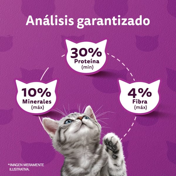 Whiskas 1 Kg Alimento Seco para Gatitos (Kitten) Sabor Carne y Leche  - Miniatura 4