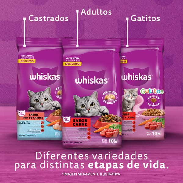 Whiskas 1 Kg Alimento Seco para Gatitos (Kitten) Sabor Carne y Leche  - Miniatura 5